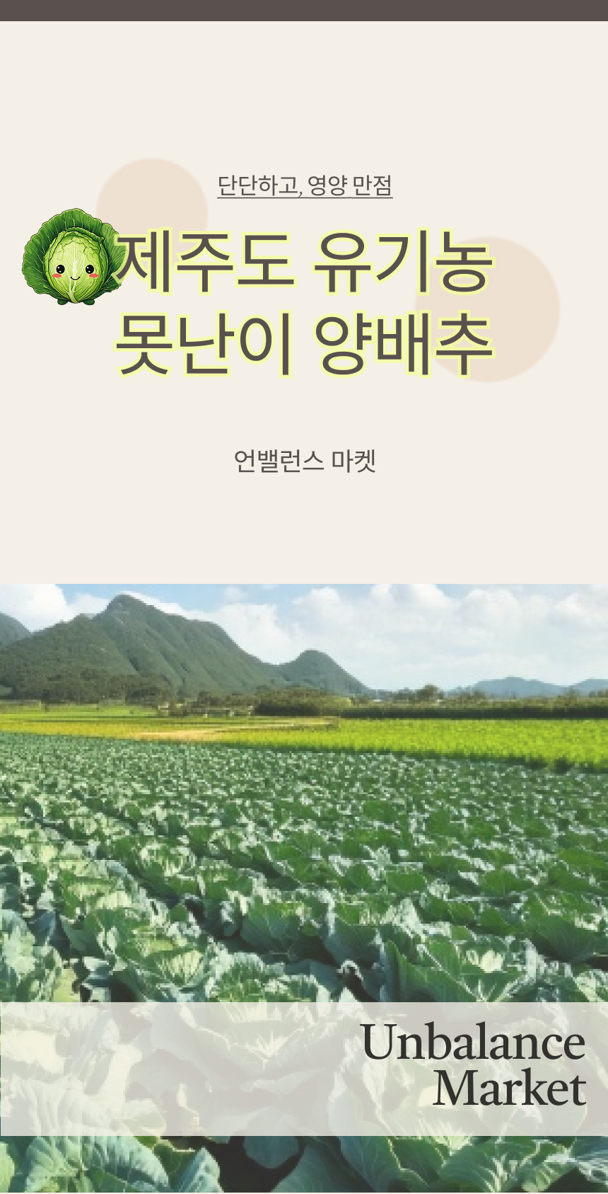 양배추 업로드 1.jpg