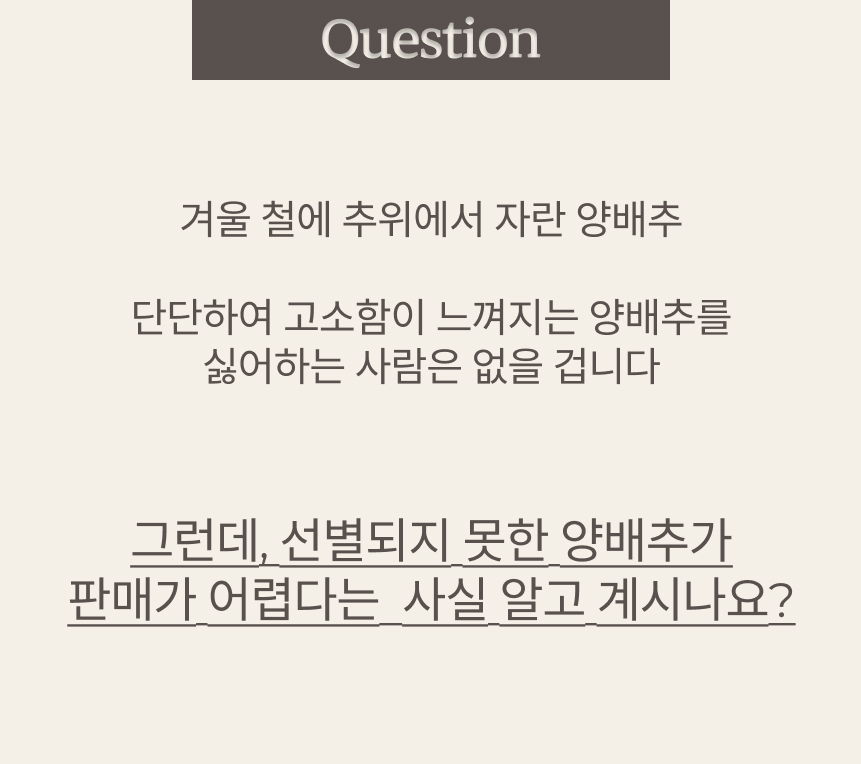 양배추 업로드 3.jpg